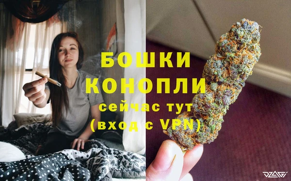 скорость Белокуриха
