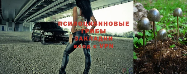 скорость Белокуриха