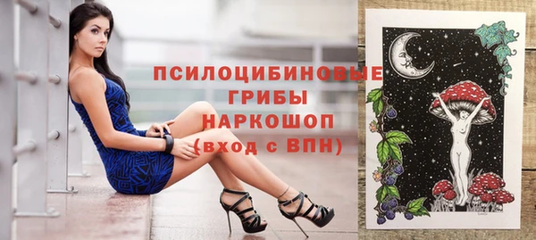 скорость Белокуриха