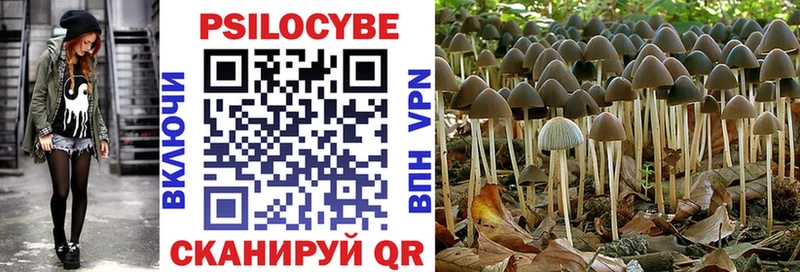 Галлюциногенные грибы Cubensis  где найти   Чишмы 